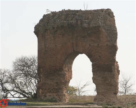 Il Tempio di Kom Ombo: Un capolavoro architettonico dedicato a due divinità!