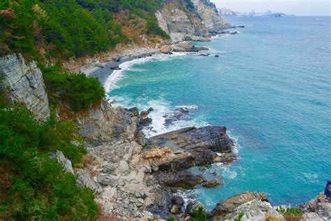 Il Giardino di Taejong! Un Richiamo alla Serenità e Bellezza Naturale Nascosto a Haeundae