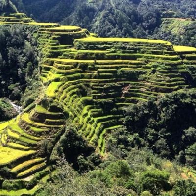 Il Museo di Banaue Rice Terraces: Un Tesoro Storico e una Meraviglia Naturale!