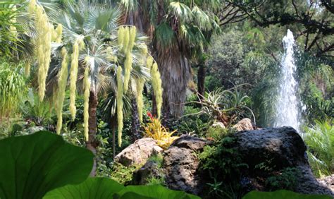  La Casa di Kirstenbosch: Una Sinfonia di Colori e Profumi nel Cuore del Sudafrica!