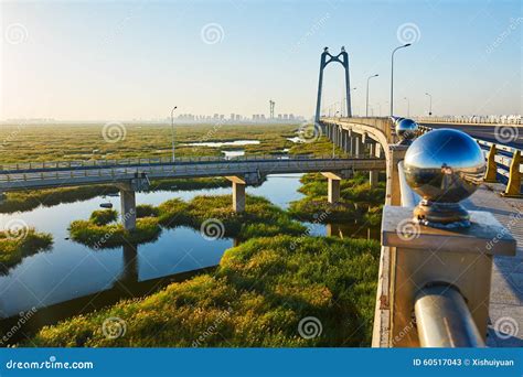 Il Ponte della Heilongjiang: Un Monumento Storico con Viste mozzafiato!