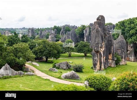  La Foresta di Pietra: Una meraviglia geologica nascosta nel cuore di Jixi!