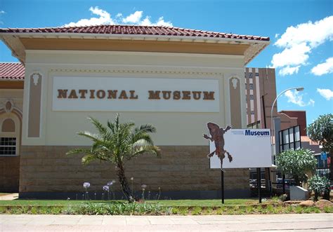 Il Museo di Storia Naturale di Bloemfontein: Un viaggio nell'incredibile diversità della vita sudafricana!